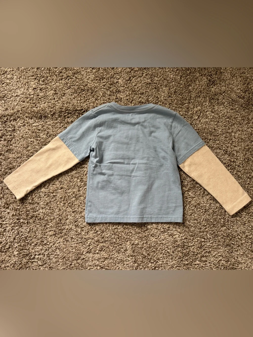 Gymboree Winter Animals long sleeved tee, 3T